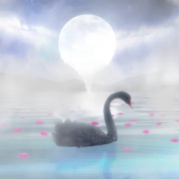 black-swan_thumbnail
